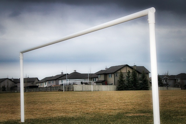 他们仍以微 他们仍以微