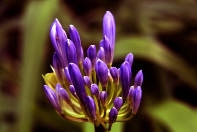 仅增强了球 仅增强了球