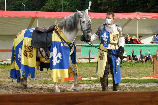 力的球队间 力的球队间