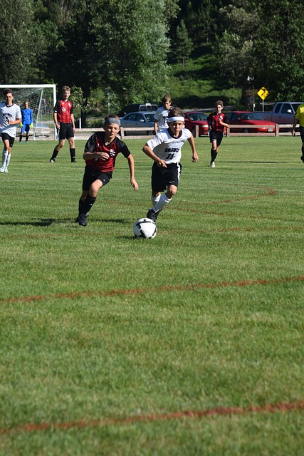 的资金投入 的资金投入