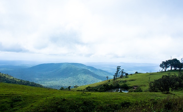 援未来仍然 援未来仍然